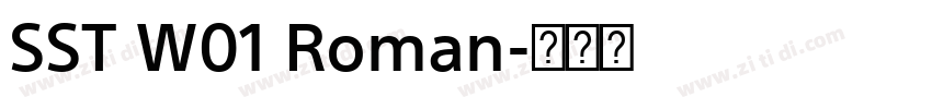 SST W01 Roman字体转换